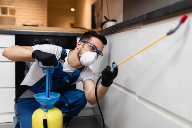 Best Commercial Pest Control Services  in Easton, CA