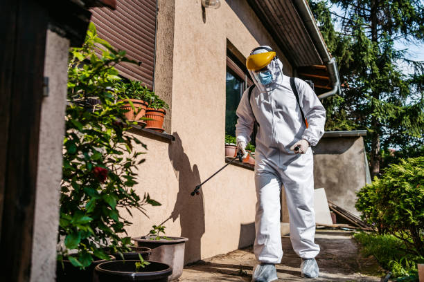 Best Rat Extermination Near Me  in Easton, CA