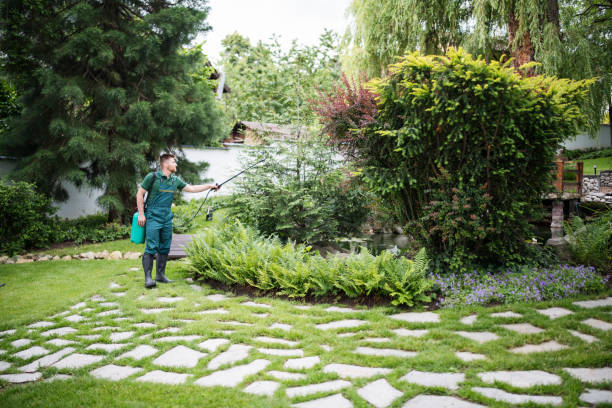 Best Affordable Pest Control Services  in Easton, CA