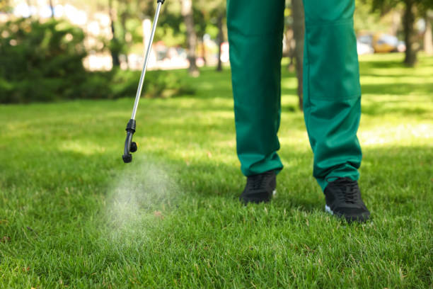 Best Wasp Removal Services  in Easton, CA
