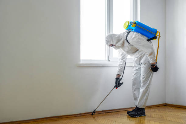 Best Insect Control  in Easton, CA