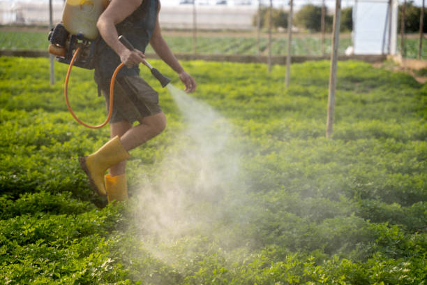 Professional Pest Control in Easton, CA