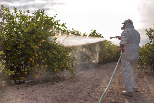  Easton, CA Pest Control Pros