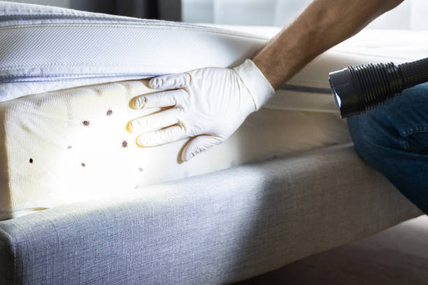 Best Exterminator Services  in Easton, CA