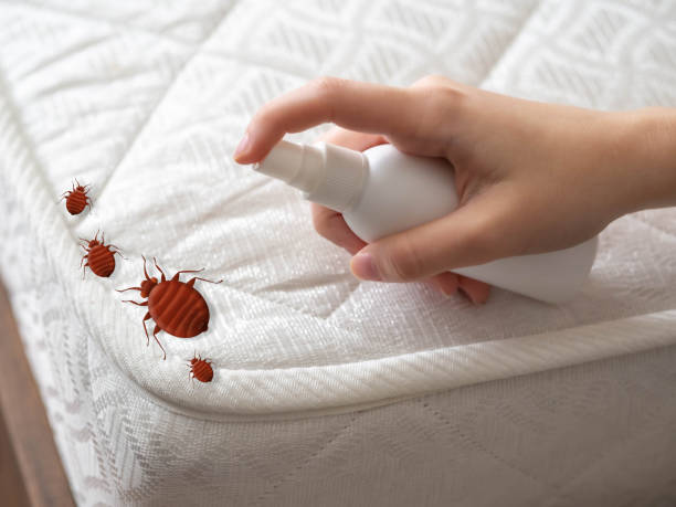 Best Best Pest Control Companies  in Easton, CA